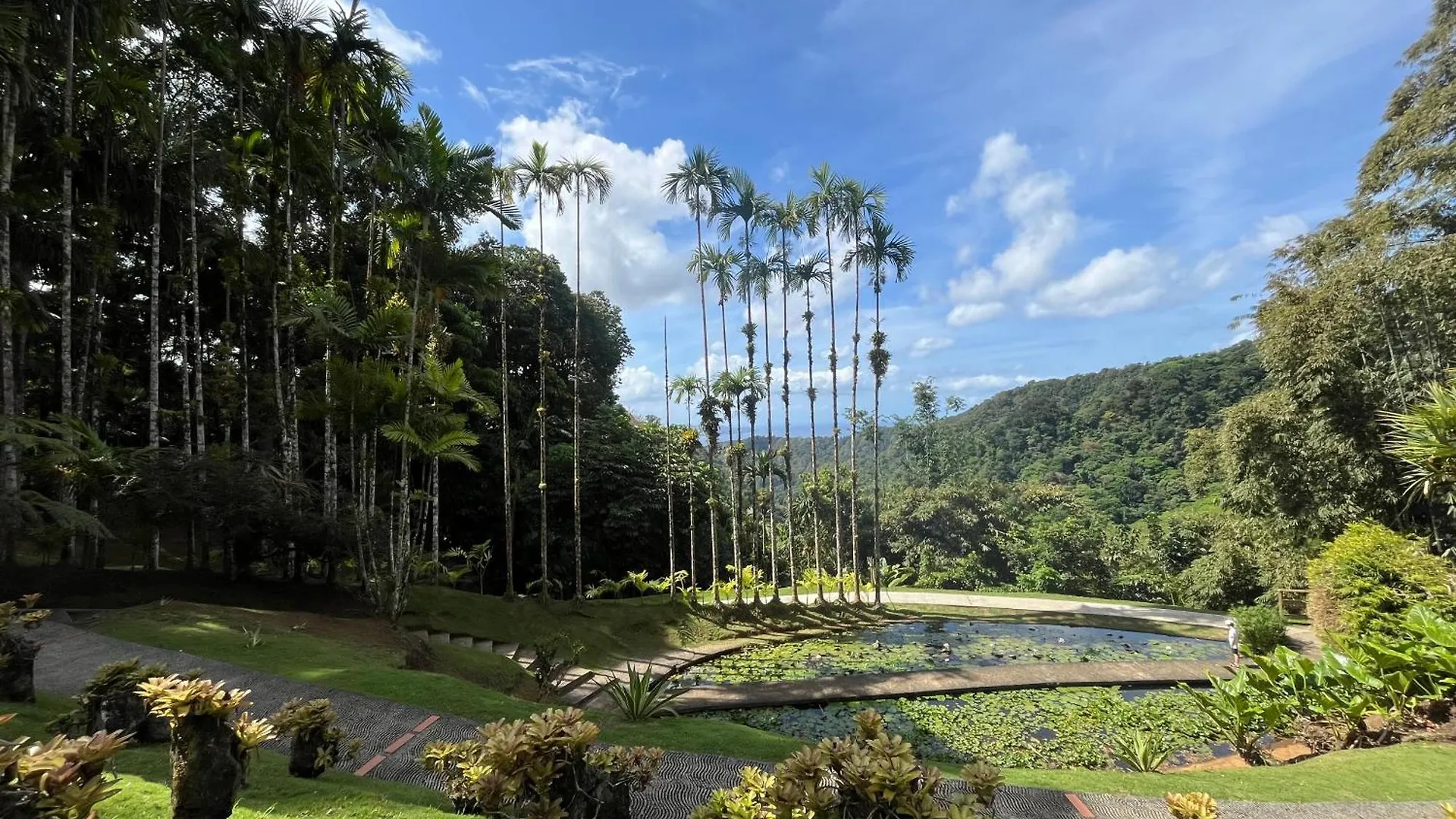 Experience De Reve En Martinique Apartment Le Diamant